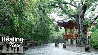 Calm, Rainy Morning in an Old Park - Fast Sleep, Meditation,  Relaxation with Rain sound