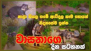 වාසනා අජිත් මාමගේ ගමේ ගෙවුණු තවත් එක් සුන්දර දින සටහනක්