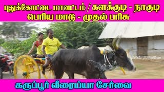 பெரியமாடு களக்குடி - நாகுடி 20-03-2019 Periyamadu NAGUDI கிரிஷ் டிஜிட்டல் கட்டுமாவடி