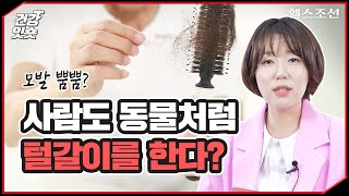 사람도 동물처럼 털갈이를 한다?