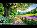 Healing Music for the Soul 🌿 Beautiful Calming Music help Stress Relief and Stop Overthinking