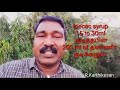 அரளி விதை poison first aid அரளி விதை poison முதலுதவி எப்படி செய்வது r.karthikesan oleander seed