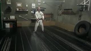 Chinto Kata Isshinryu Ryushinkan International.