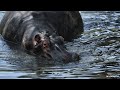 LIVE at the waterhole - 09 January 2026