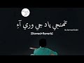 tuhnji yad ji wari aye slowed reverb by sarmad sindhi reverb songs