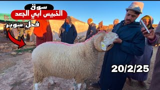 مباشرة من سوق الخميس أبي الجعد 20/2/25 مع تمن حولي و النعجة و حولية 🐑🐑