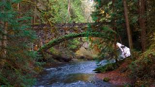 Whatcom Falls Park Through The Seasons - Bellingham, WA