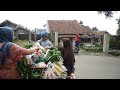 SUASANA RUMAH DAN KAMPUNG ARNIS