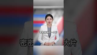 这是什么现象 #社会百态