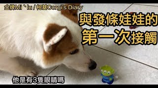 【金牌Miˋlu】被三眼仔和胡迪嚇到併軌