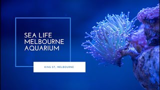 Melbourne Sea Life Aquarium