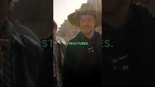 MrBeast Explores The Pyramids of Egypt and REVEALS Secrets in Latest Video #shorts #mrbeast #viral