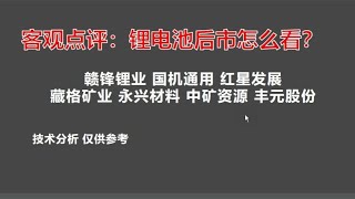 赣锋锂业 藏格矿业 永兴材料 中矿资源 红星发展 锂电池止跌了吗