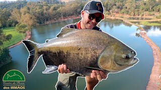 CONHECENDO UM PESQUEIRO NOVO, LAGO GIGANTE E PEIXE MUITO FORTE | CENTRO DE PESCA DOS IRMÃOS