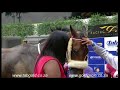 20180207 greyville race 2 won by mutawaary