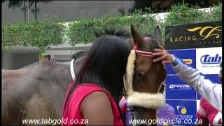 20180207 Greyville Race 2 won by MUTAWAARY