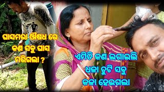 ଘାସମରା ଔଷଧ ରେ କଣ ସବୁ ଘାସ ମରିଗଲା | ଏମିତି କଣ ଲଗାଇଲି ଧଳା ଚୁଟି ସବୁ କଳା ହେଇଗଲା |SSCE VLOG