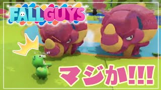 【FallGuys】ゆる～くスナイプ参加型 ｰソロ＆デュオｰ【ゆる練ガイズ】