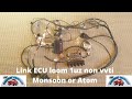 Universal CartuneNZ Link ECU single plug wiring loom.  Monsoon or Atom