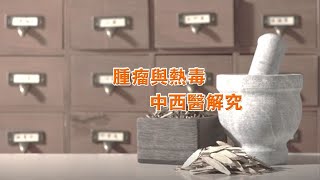 腫瘤與熱毒 中西醫解究  |  蘇子謙醫生