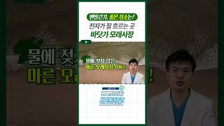 맨발걷기, 촉촉한 바닷가가 좋은 이유는? #맨발걷기효과 #맨발걷기