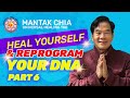 Learn to Awaken your Inner Alchemy and Reprogram your DNA Part-6 | Mantak Chia