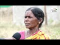 kuchinda bamra mirchi farmers facing problems over low msp rate sambalpur election news 2024