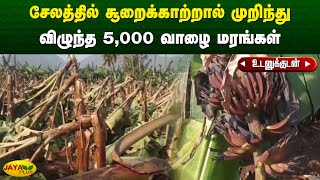 சேலத்தில் சூறைக்காற்றால் முறிந்து விழுந்த 5,000 வாழை மரங்கள் | tornado | jaya plus