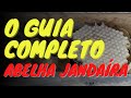 O GUIA COMPLETO - ABELHA JANDAÍRA - (A RAINHA DO SERTÃO)