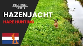 Hazenjacht in Nederland / Jacht op hazen /