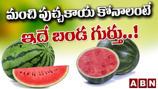 మంచి పుచ్చకాయ కొనాలంటే.. ఇదే బండ గుర్తు! | How to select a good watermelon? | ABN Digital