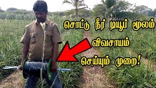 சொட்டு நீர் டியூப் மூலம் விவசாயம் செய்யும் முறை! | Method of farming using with drip irrigation