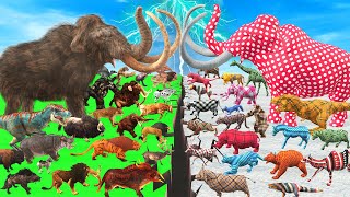 Prehistoric Animals Epic Battle Real Life Animals Vs Cloth Animals Animal Revolt