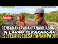 ALHAMDULILLAH  PERLAHAN  LAHAN PAK AGUS WARGA JALUR 3 SP 10 TANAM 15 KG BIBIT PADI ‼️