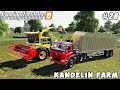 Picking grass, increasing cow productivity | Kandelin Farm | Farming simulator 19 | Timelapse #28