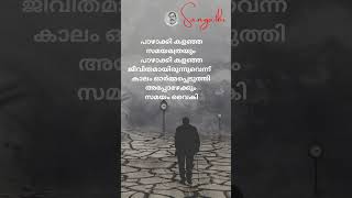 പാഴാക്കിയ സമയം#life #quotes #malayalam