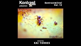 Kai Torres - Kontrastmittel Vol.12