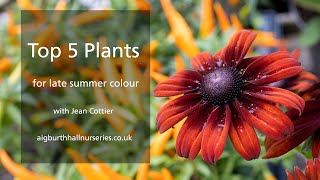 Jean's Top 5 Plants for Late Summer Colour | Aigburth Hall Nurseries