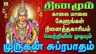 செவ்வாய்கிழமை கேட்கவேண்டிய சிறப்பு சூப்பர்ஹிட் முருகன் பாடல்கள் Murugan Suprabatham