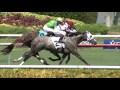 gulfstream park replay show july 30 2016