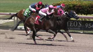 Gulfstream Park Replay Show | July 30, 2016