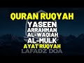 Bacaan Alquran, Surah Yasin, Arrahman, Alwaqiah, Almulk, Ayat Ruqyah