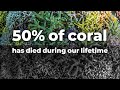 A million corals to celebrate World Ocean Race Day