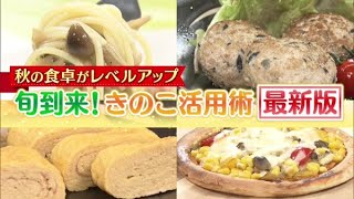 旬到来！きのこ活用術最新版【どさんこワイド179】2022.09.09放送