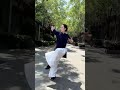 tai chi 太极拳者，其静如动，其动如静。动静循环，相连不断，则二气既交，而太极之象成 taichi kungfu taichiquan 功夫 太极 martialarts wush