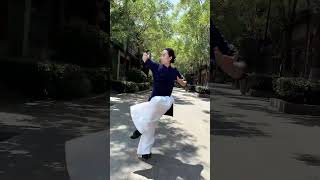 Tai Chi|太极拳者，其静如动，其动如静。动静循环，相连不断，则二气既交，而太极之象成 #taichi #kungfu #taichiquan #功夫 #太极 #martialarts #wush