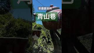 高雄到嘉義最短的距離-青山巷 自由行 背包客 旅遊推薦 騎車環島趣 山坡地整片茶園 旅遊攻略 青雲瀑布在其中 短途旅行 玩水嬉戲 旅遊景點 4K HD 拍攝 Taiwan Kaohsiung City