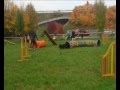 Agility trénink- Jana Malinčíková+ Vanilka (Viento)