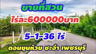 Ep33.ขายที่ดินราคาถูกมาก​ ขายที่สวน​ สวนมะขามฝักใหญ่​ ราคาไร่ละ600000​บาท​ ที่ดิน​ ชะอำ​ เพชรบุรี​