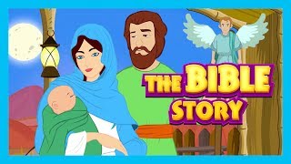 The Bible Story - Stories of Jesus || Bible and Other Story Collection For Kids